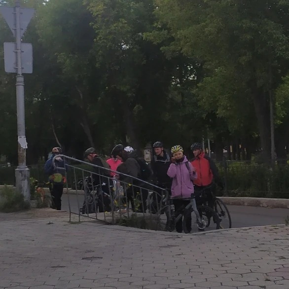Группа товарищей